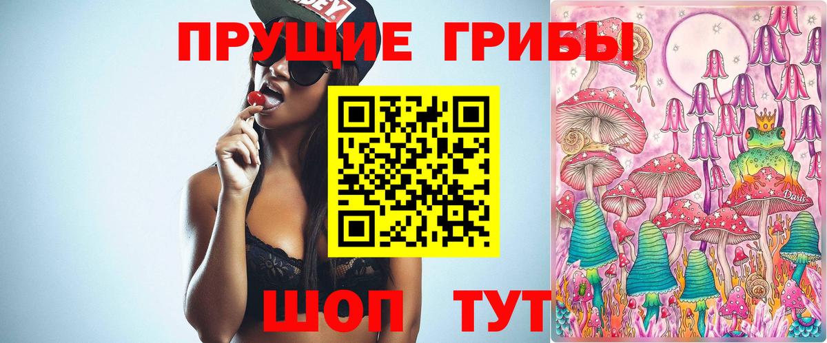 Галлюциногенные грибы GOLDEN TEACHER  Вход с VPN  Шелехов 
