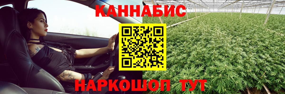 Шишки марихуана Amnesia Шелехов